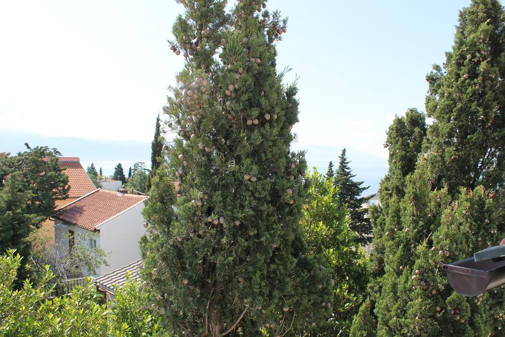 נובי ווינודולסקי Apartments Strmecki מראה חיצוני תמונה